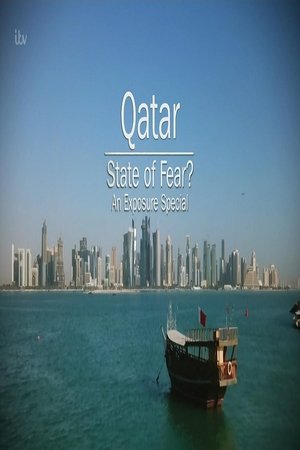 Qatar: State of Fear? Poster