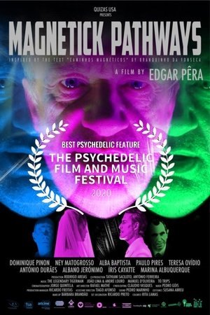 Magnetick Pathways Poster