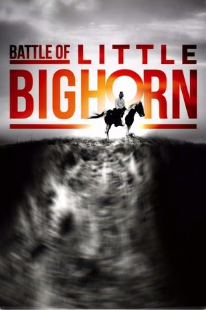 Battle of Little Bighorn Poster