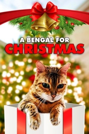 A Bengal for Christmas Poster