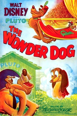 Wonder Dog Poster