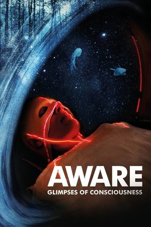 Aware: Glimpses of Consciousness Poster