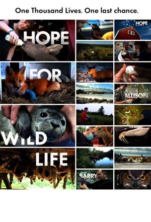 Hope for Wildlife Poster