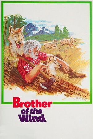 Brother of the Wind Poster