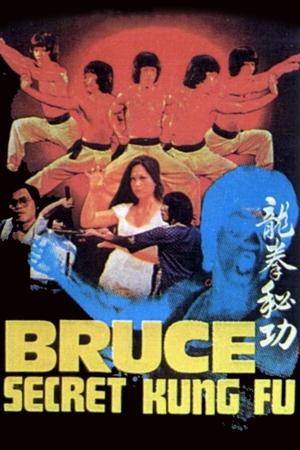 Bruce's Secret Kung Fu Poster