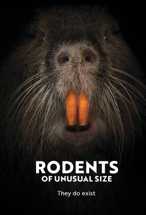 Rodents of Unusual Size Poster