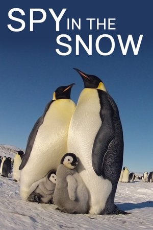 Spy in the Snow Poster