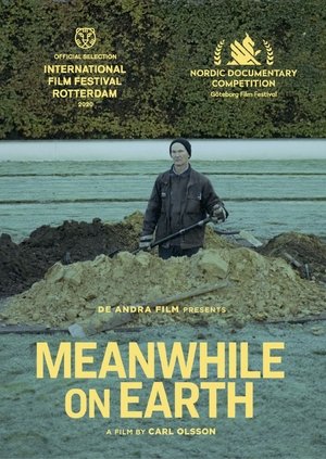 Meanwhile on Earth Poster