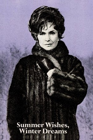 Summer Wishes, Winter Dreams Poster