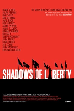 Shadows of Liberty Poster
