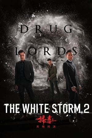 The White Storm 2: Drug Lords Poster