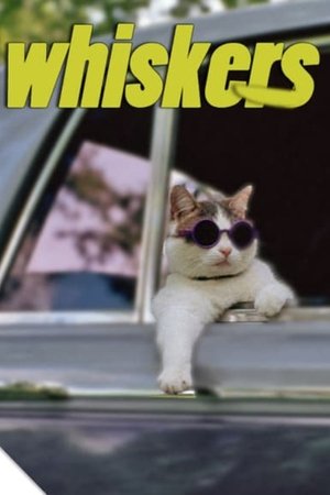 Whiskers Poster