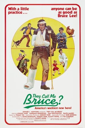 They Call Me Bruce? Poster