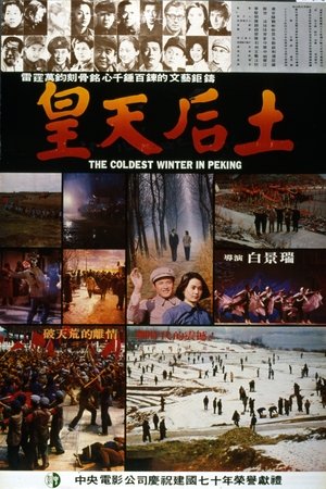 The Coldest Winter in Peking Poster