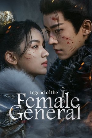 Legend of the Female General Poster