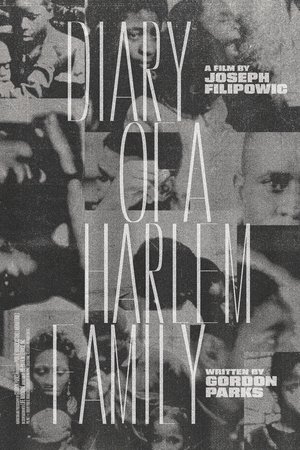 Diary of a Harlem Family Poster
