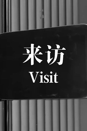 Visit Poster