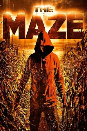 The Maze Poster