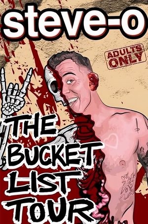 Steve-O's Bucket List Poster