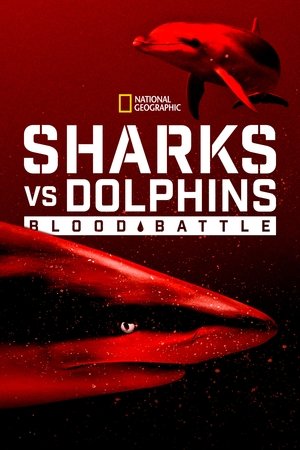 Sharks vs. Dolphins: Blood Battle Poster