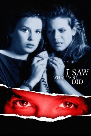 I Saw What You Did Poster