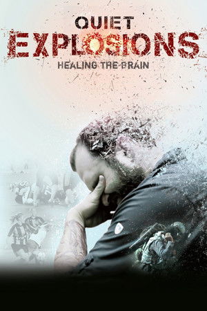 Quiet Explosions: Healing the Brain Poster