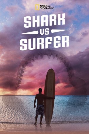 Shark vs. Surfer Poster
