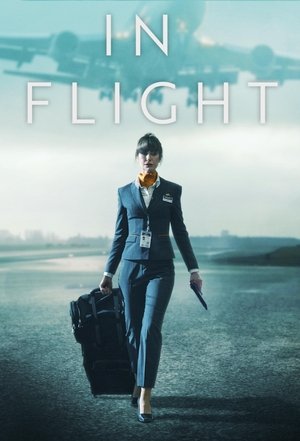 In Flight Poster