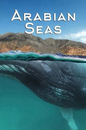 Arabian Seas Poster