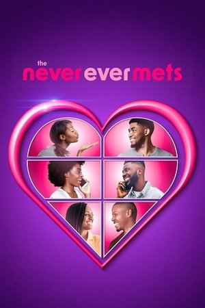 The Never Ever Mets Poster