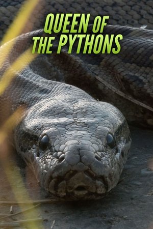 Queen of the Pythons Poster
